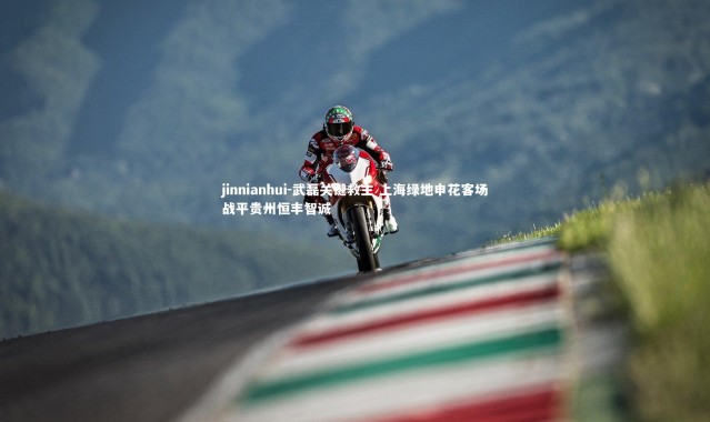 jinnianhui-武磊关键救主 上海绿地申花客场战平贵州恒丰智诚