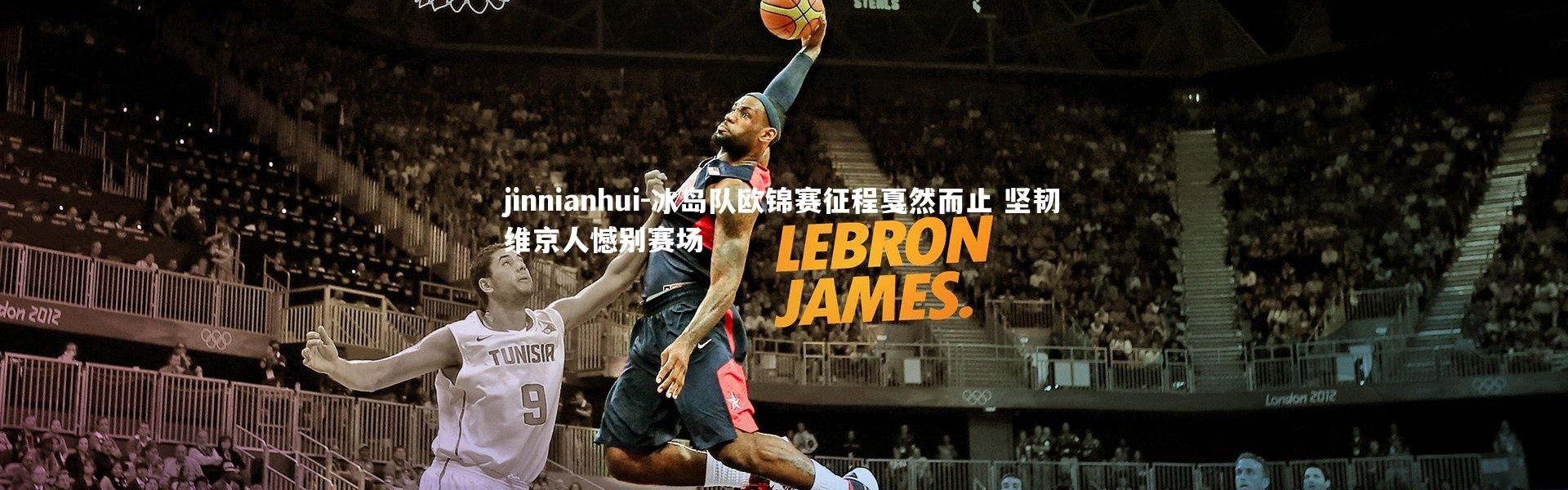 jinnianhui-冰岛队欧锦赛征程戛然而止 坚韧维京人憾别赛场