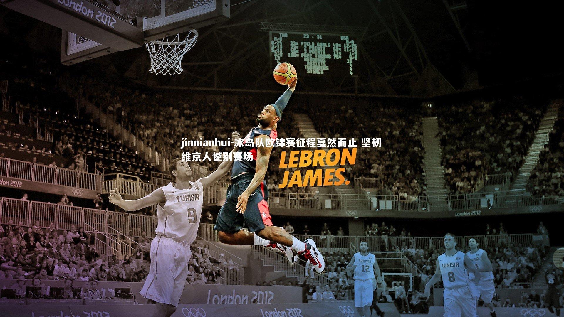 冰岛队欧锦赛征程戛然而止 坚韧维京人憾别赛场